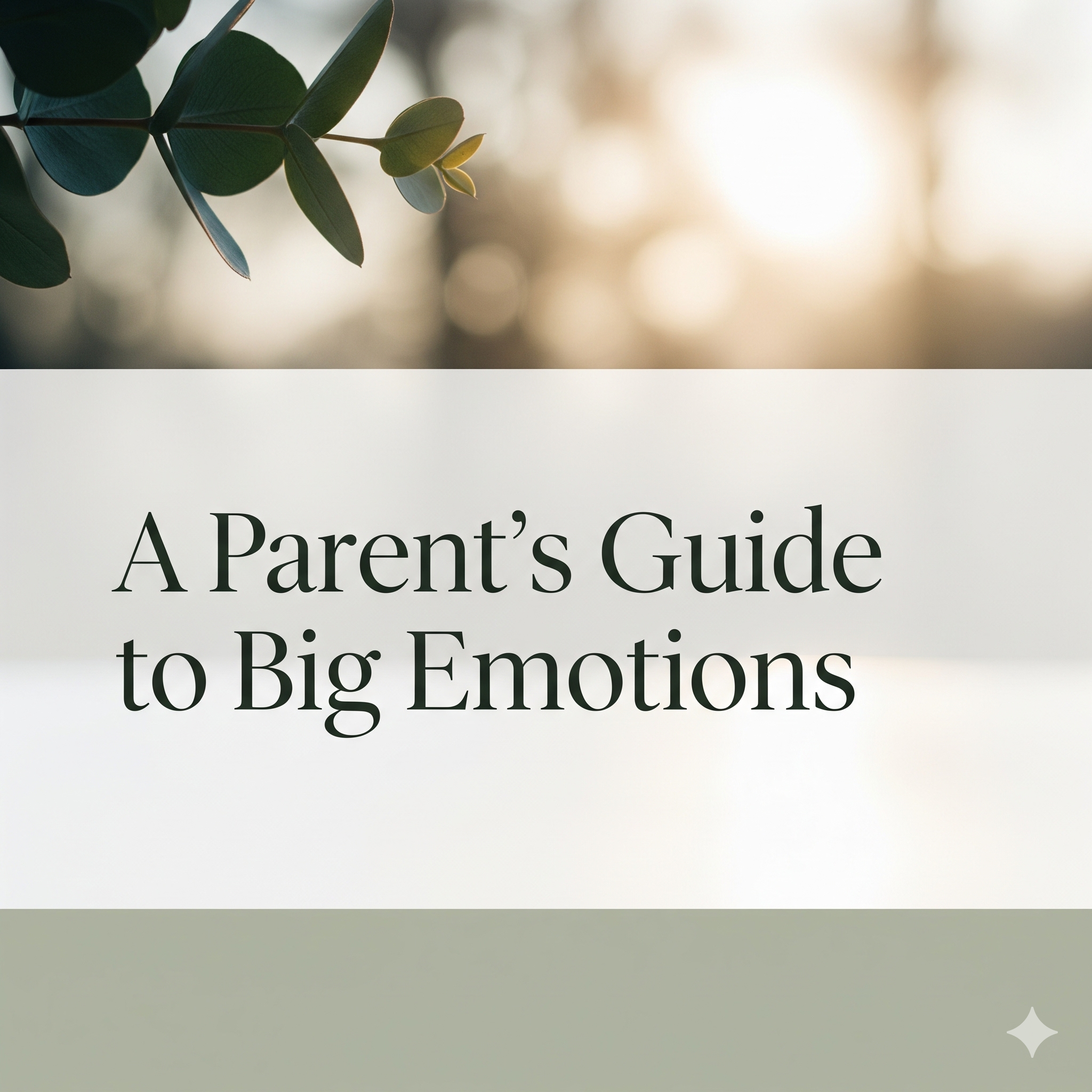 A Parents Guide to Big Emotions